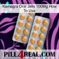 Kamagra Oral Jelly 100Mg How To Use levitra2